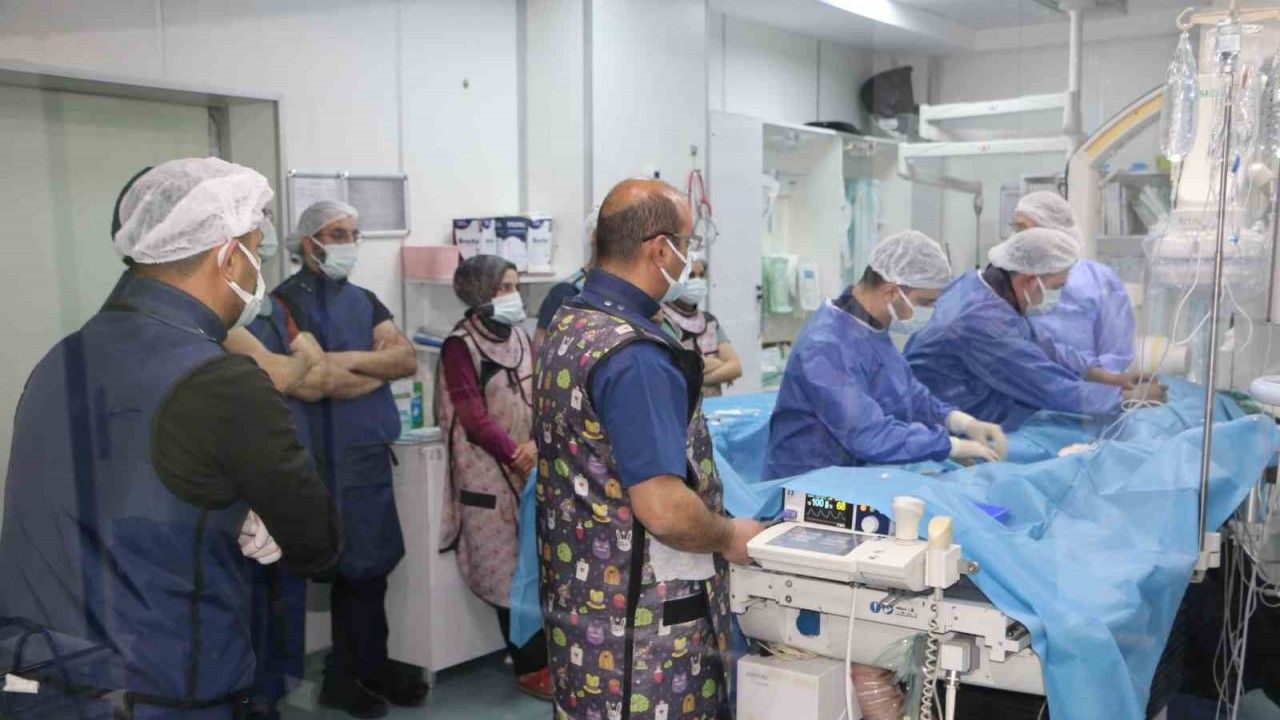 Diyarbakır Çocuk Kalp Merkezinde invaziv çalıştayı yapıldı