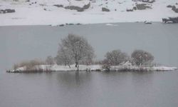 Buz tutan Çat Barajı’ndaki yüzen adalar beyaza büründü