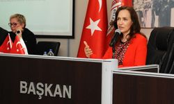 Yıldız Ünsal: Akıl tutulması yaşıyorlar