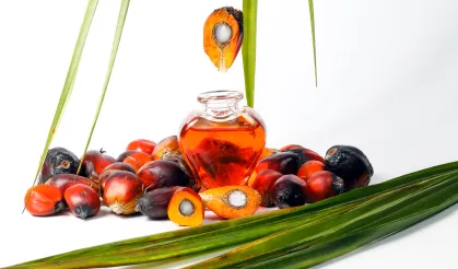 Palm yağıyla ilgili yanlış algılar çürütüldü!