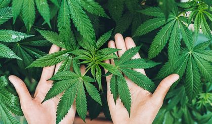 EÜ’den Tekstile Patentli Kenevir Yeniliği