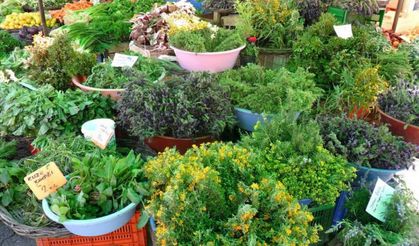 Alaçatı Ot Festivali 14. kez doğa ve tatla buluşuyor