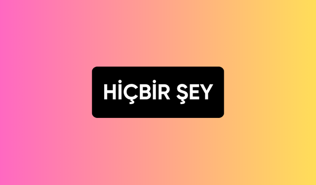 HİÇBİR ŞEY
