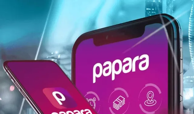 Papara'nın 8 Şirketine Kayyum Atandı