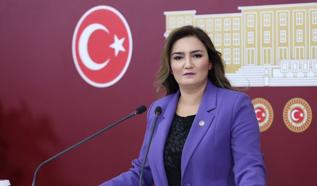 CHP’li Kılıç’tan Gösteri Yürüyüşü Yasasına Değişiklik
