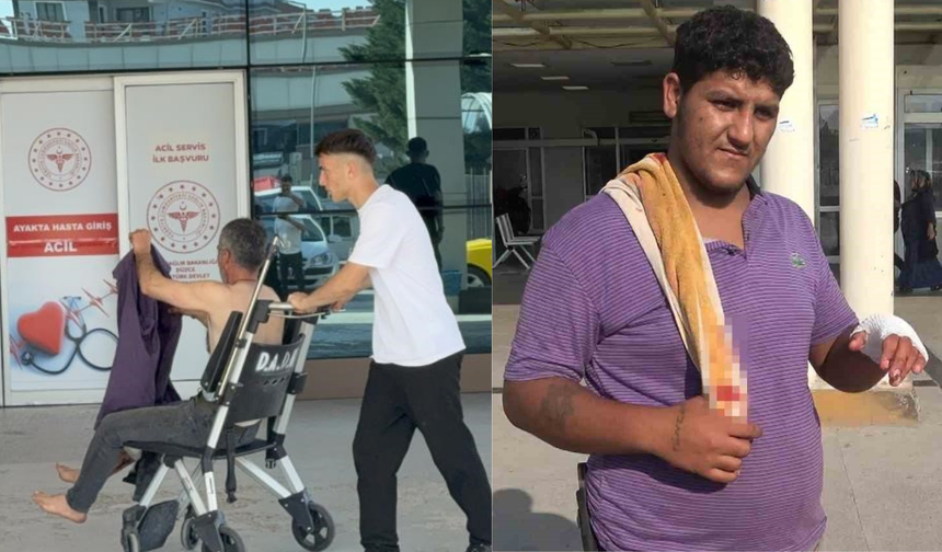 14 Bin 372 'Acemi Kasap' Hastanelik Oldu