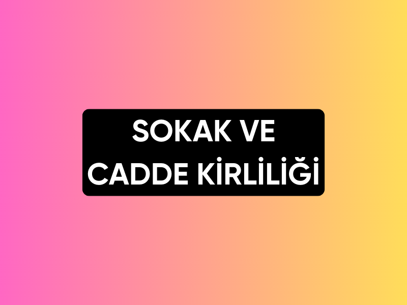 Sokak ve Cadde Kirliliği